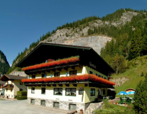 Гостиница Hotel Gasthof Klammstein  Дорфгаштайн